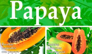 Receta-semillas-de-papaya-contra-parasitos