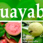 Guayaba para desinflamar
