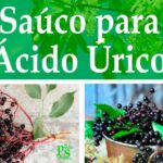 tratamiento con saúco para ácido úrico