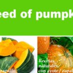 Seed of pumpkin to deworm