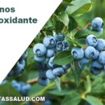 Arándanos un antioxidante natural