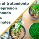 tratamiento de la depresión combinando plantas medicinales