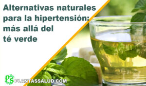 Alternativas naturales para la hipertensión - té verde