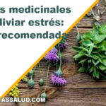 Plantas medicinales para aliviar estrés